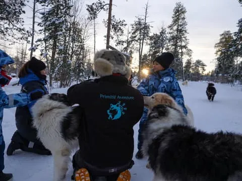 Exclusive visit to the only Taimyr kennel in Europe