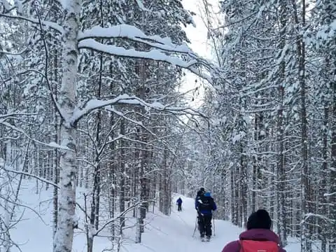 Altai Skiing: Explore Lapland's nature in a small group