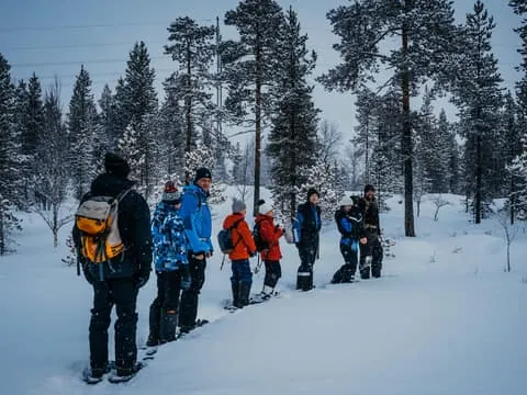 Ivalo snowshoe discovery: immersion in nature by day or under the stars