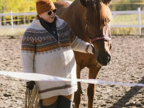 Private Meaningful Encounter with Finnhorses