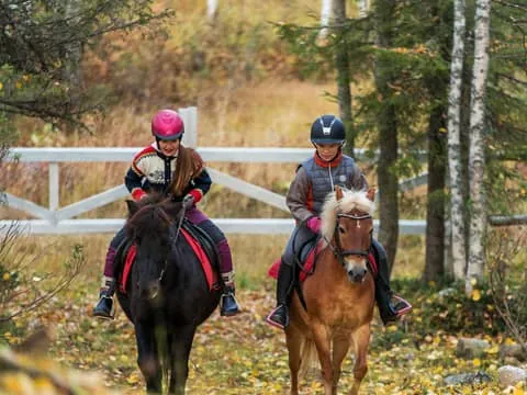 Family Horse Experience at Ronivaara Farm