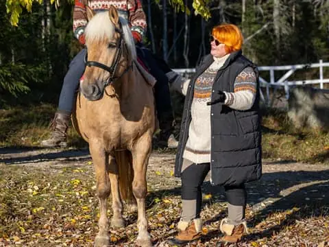Private Finnhorse Farm Experience with Ride