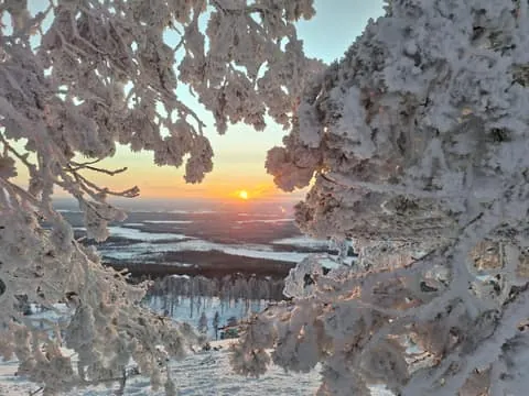 Levi: Fell Whisperer's Forest Skiing Tour with Campfire