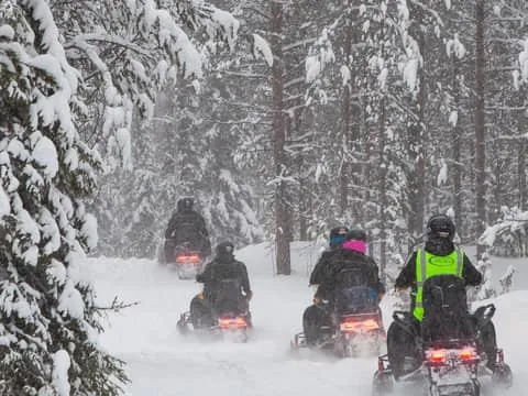 Easy and Fun Snowmobile Safari