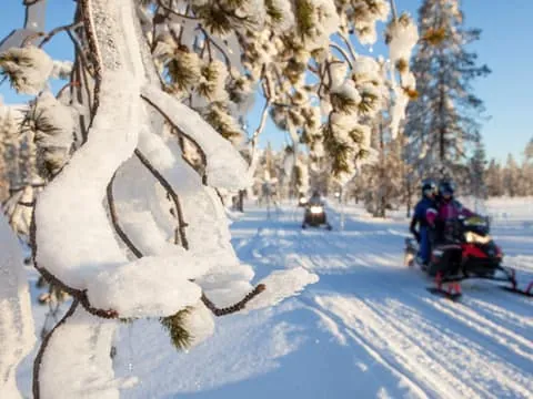 Ylläs: Nature-Watching Tour by Snowmobile