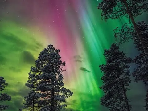 Northern Lights Experience: Science, Stories & Photography