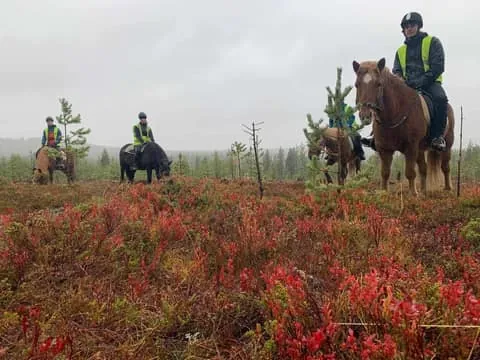 Levi: Summer/Autumn Riding Trek with Icelandic horses