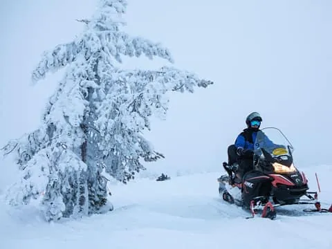 Pakasaivo Snowmobile Safari with Lunch