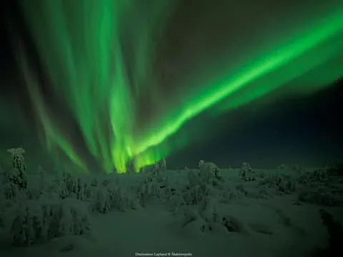 Northern Lights Snowmobile Tour with Hot Drinks