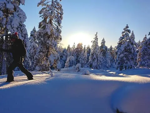 Guided Snowshoeing Tour with Northern Lights Hunt