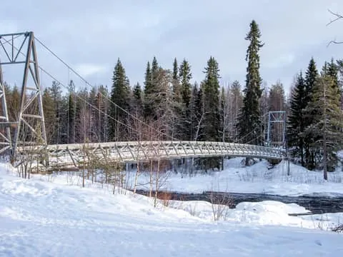 Family adventure in the Vikaköngäs forest + Lappish BBQ in the forest
