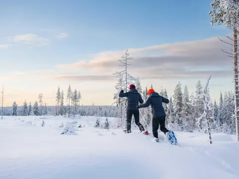Snowshoe Wilderness Adventure with Photos & BBQ