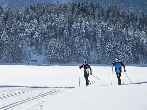 Cross-Country Wilderness Ski Adventure
