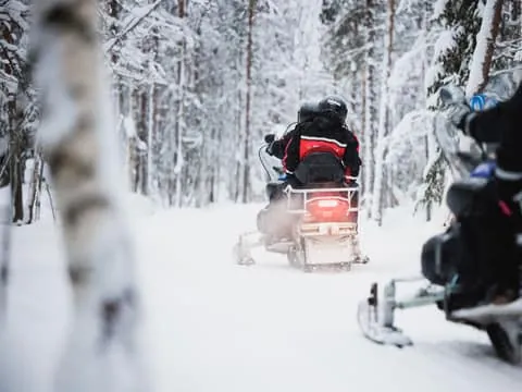 Arctic Circle Highlights by Snowmobile