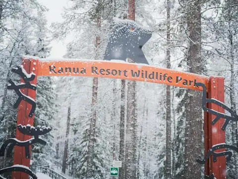 Ranua Wildlife Park Day: Visit the Arctic Animals
