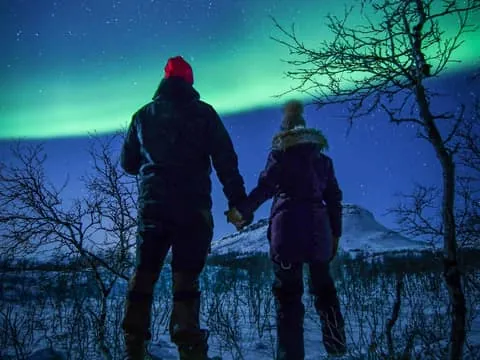 Levi: Northern Lights Hunt Including Campfire Snacks