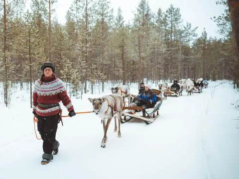 2–3 km Sustainable Reindeer Journey