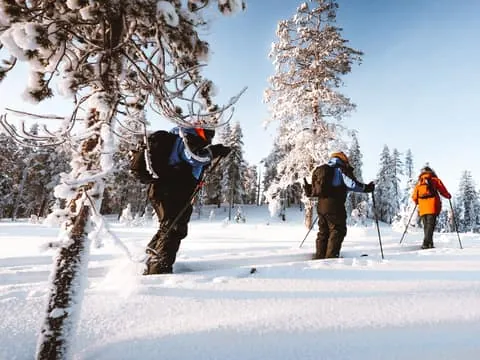 Lapland Ski Trekking Safari