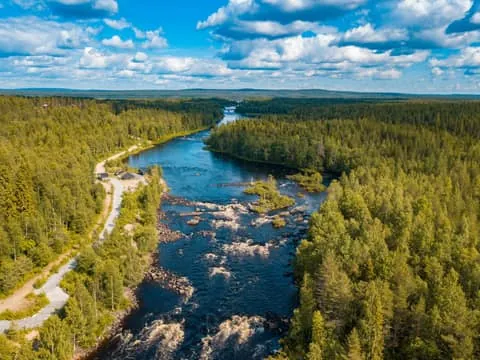 Vikaköngäs Forest Hiking Tour with BBQ