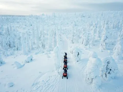 Levi: Easy Snowmobile Safari into the Nature