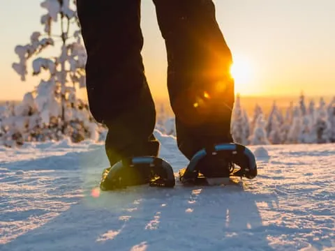 Levi: Scenic Levi Snowshoe Trip