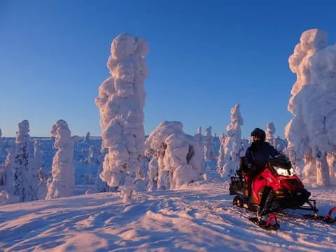 Levi: Evening Snowmobile Safari