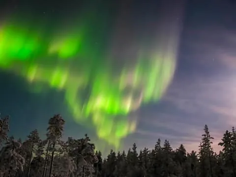 Levi: Northern Lights Hunting Photo Tour