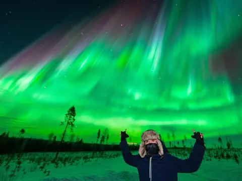 Rovaniemi Aurora Hunt – 100% Guaranteed, Photos, Small Group