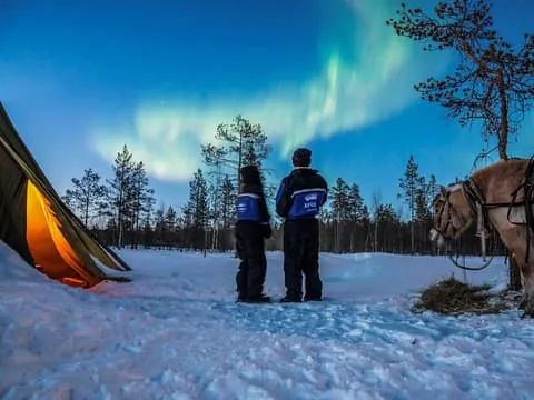 Horse Sleigh Ride under the Night Sky