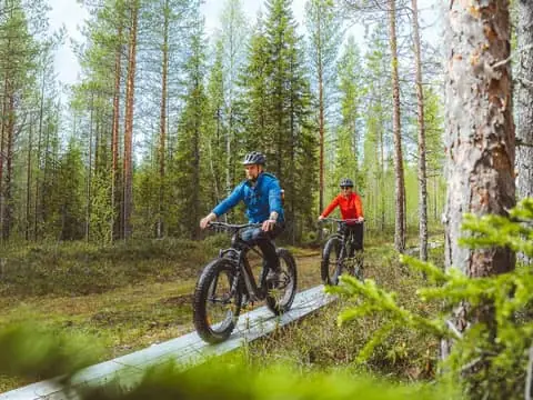 Exploring Nature With E-Fatbike