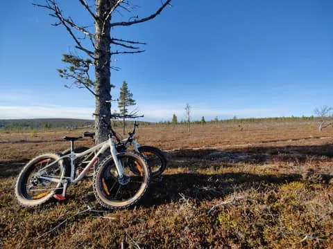 Guided Fatbike Tour in Ivalo