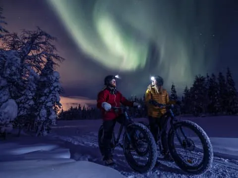 Guided fatbike safari