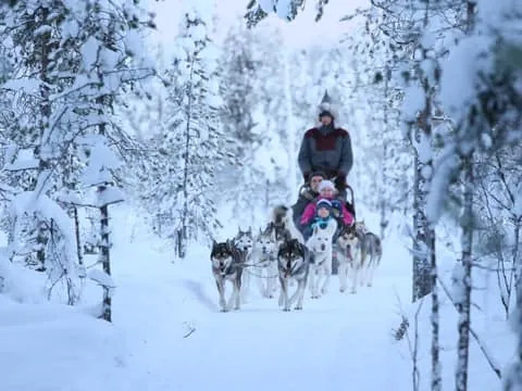 6–10km Self-Drive Husky Sleigh Ride Adventure