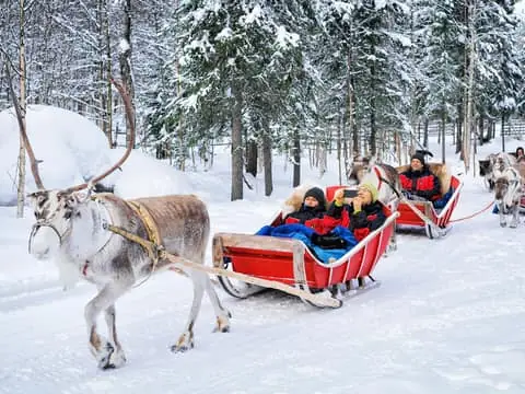 Reindeer Sleigh Ride with Hot Drink and Cookies