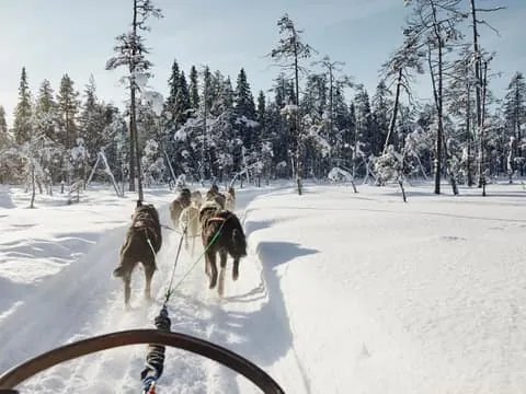 Santa Claus Village Husky Ride