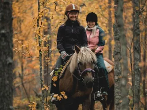 Levi: On the paths of Pine Forest – trail riding trip