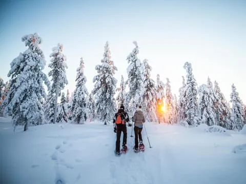 Levi: Snowshoe Adventure in the Wilderness