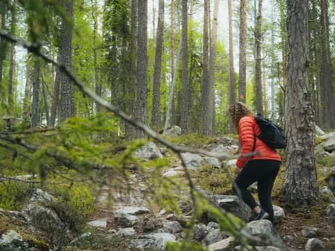 Auttiköngäs Hiking Experience
