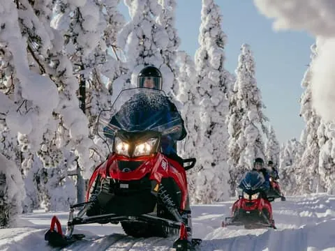 Levi: Snowmobile Safari to the Levi Nature
