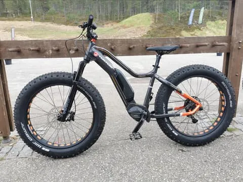EFatbike Rental