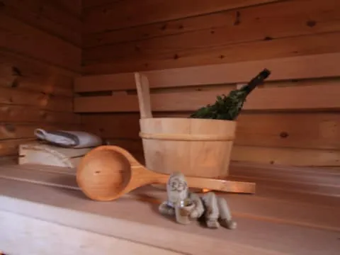Private Sauna, Jacuzzi and Dinner