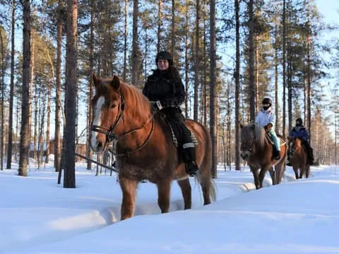 Levi: Snowy Forest Horse Ride