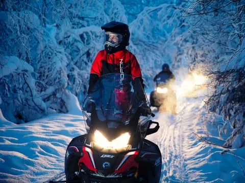Northern Lights Snowmobile Tour