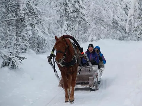 Levi: One-Horse Open Sleigh Ride