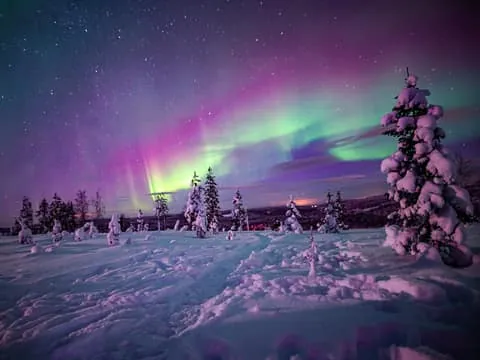 Night Snowshoeing Adventure under the Northern Lights