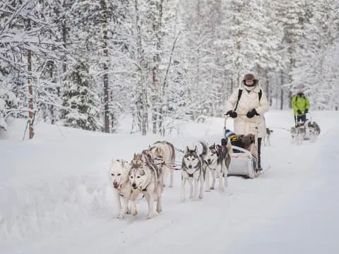 Levi: Husky Adventure Self-Drive Safari 15km