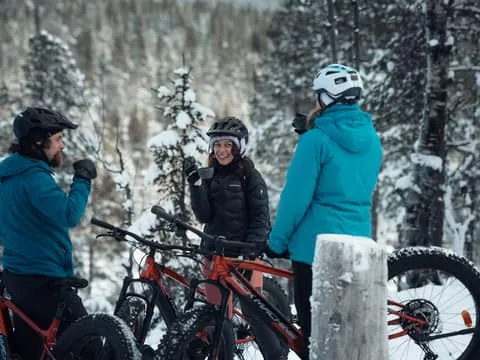 Levi: E-Fatbike Adventure in Snowy Forest