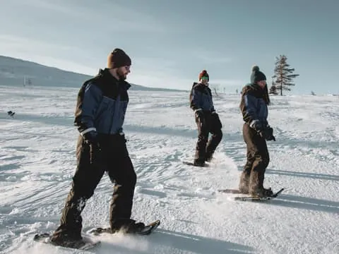 Scenic Snowshoe Safari