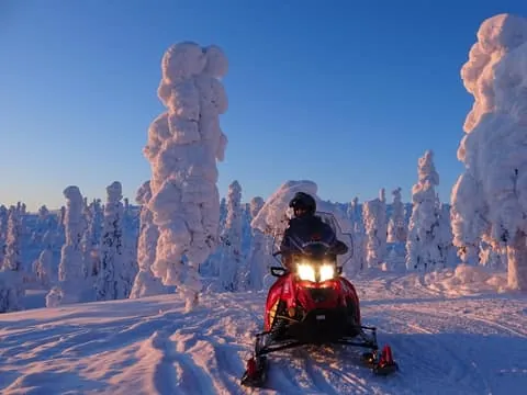 Evening Snowmobile Tour with Fire & picnic