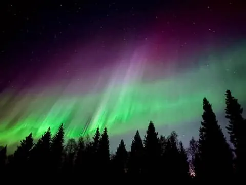 Aurora BBQ in a Private Place in Rovaniemi